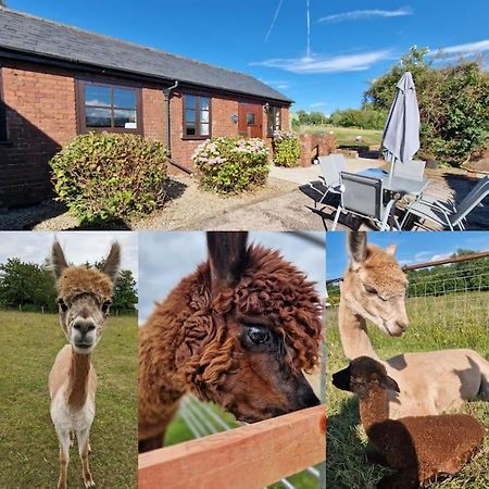 Swallows Nest Guest House - With Hot Tub Abergavenny ภายนอก รูปภาพ